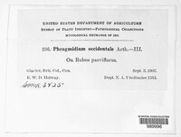 Image Associated With the Occurence